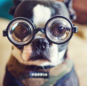 Meet your Posher, Kathrine